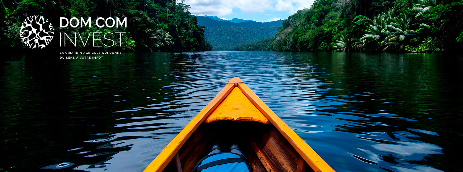 Embarcation sur une rivi&egrave;re tropicale illustrant l&rsquo;investissement Girardin DOM-COM